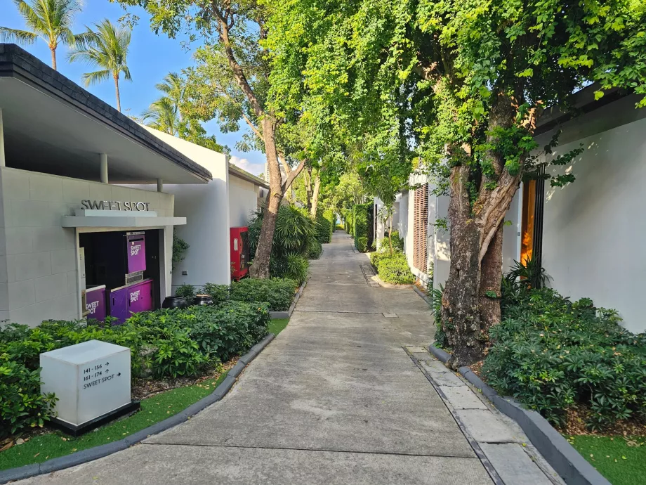 Vilos arčiau paplūdimio