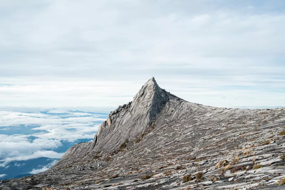 Kopimas į Kinabalu, Sabahas, Borneo