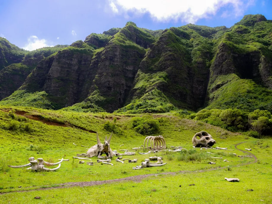 Kualoa rančos