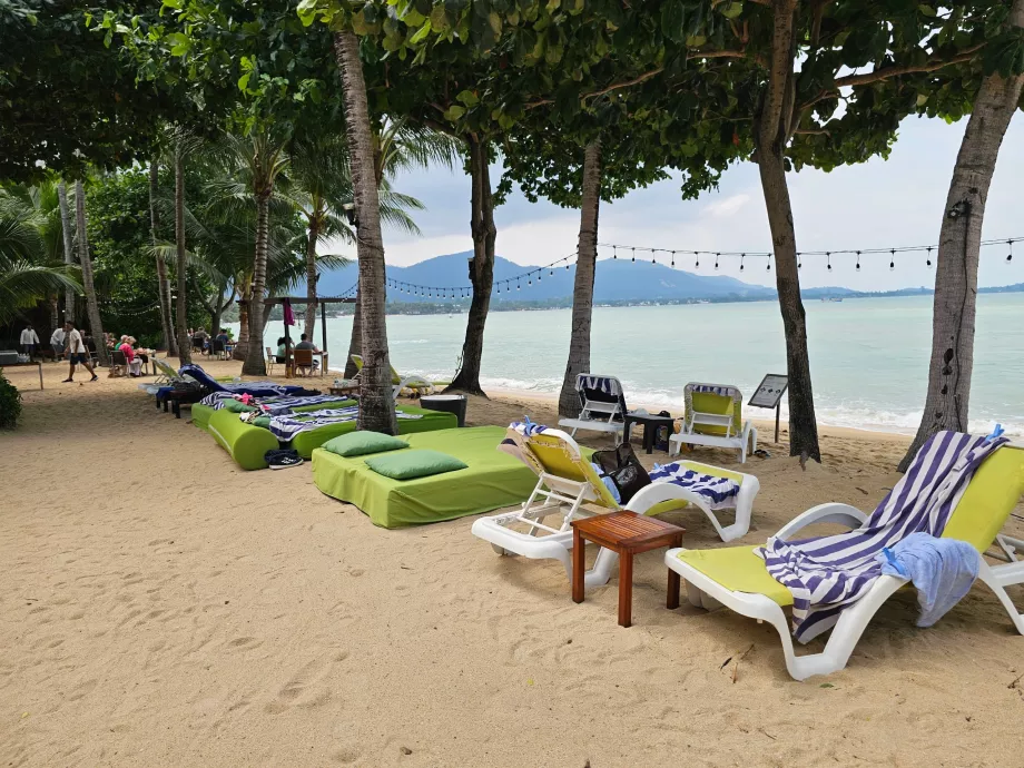 Viešbučio paplūdimys