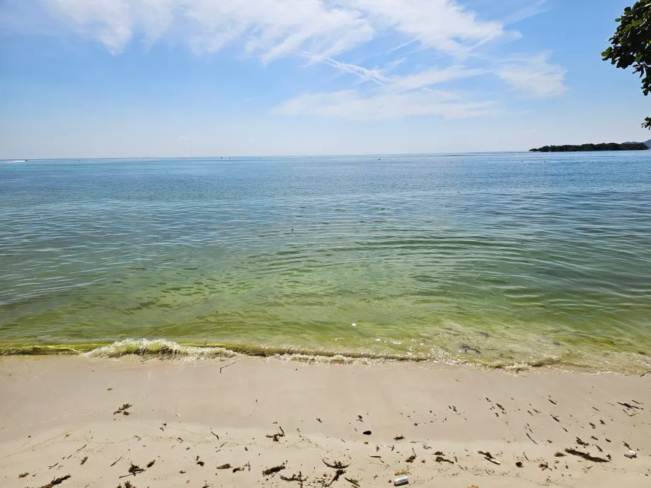 Viešbučio paplūdimys