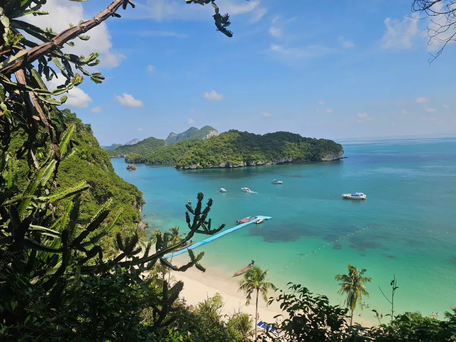 Takas į aukščiausią apžvalgos aikštelę