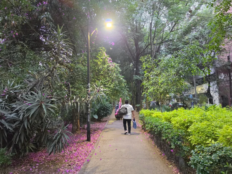 Condesa kvartalas