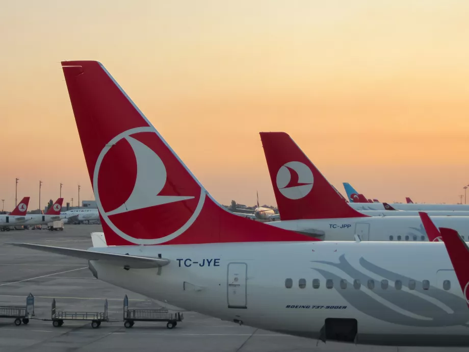 "Turkish Airlines" Stambule
