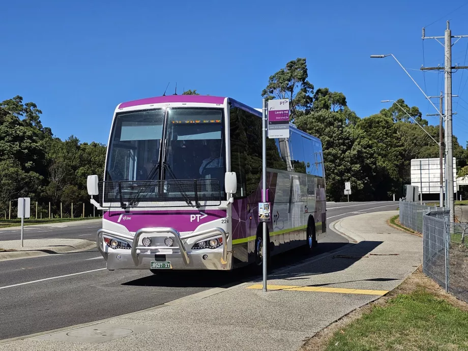 Autobusas V/linija