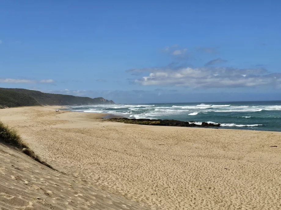 Johanna Beach