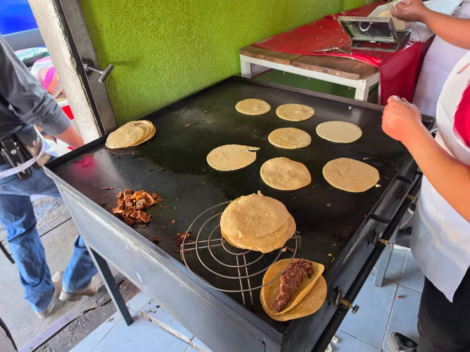 Stotelė tacos barbacoa