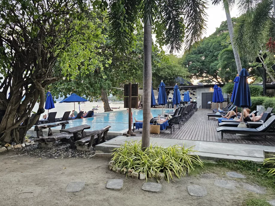 Baseinas su saulės gultais