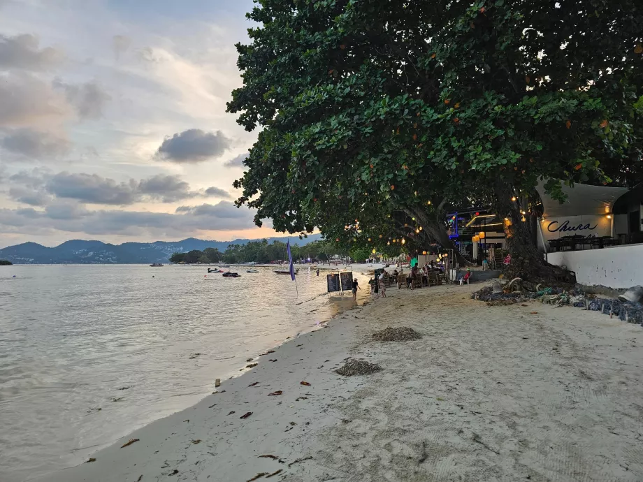 Viešbučio paplūdimys