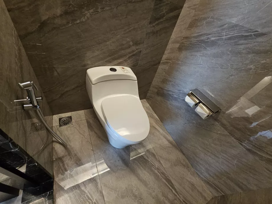 Tualetas su bidė dušu