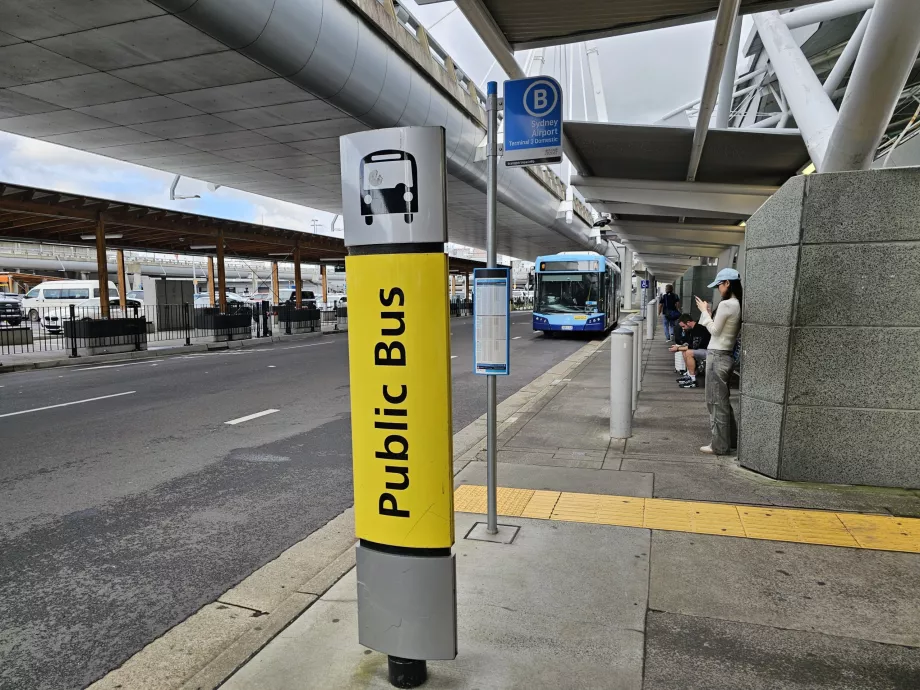 Miesto autobusų stotelė, 3 terminalas