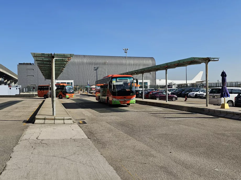 Nemokami maršrutiniai autobusai sustoja prie pagrindinių viešbučių