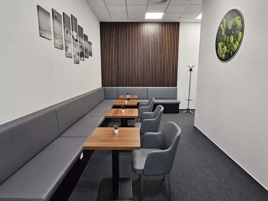 Tylioji salono dalis