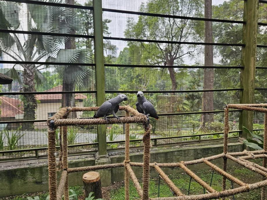 Paukščių parkas