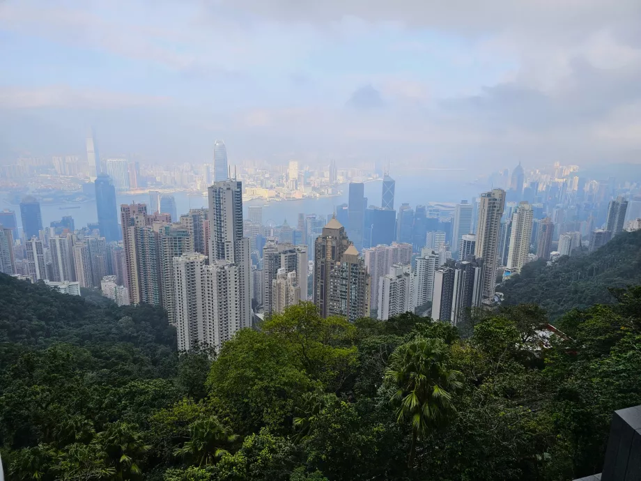 Vaizdas nuo "The Peak Galleria" stogo