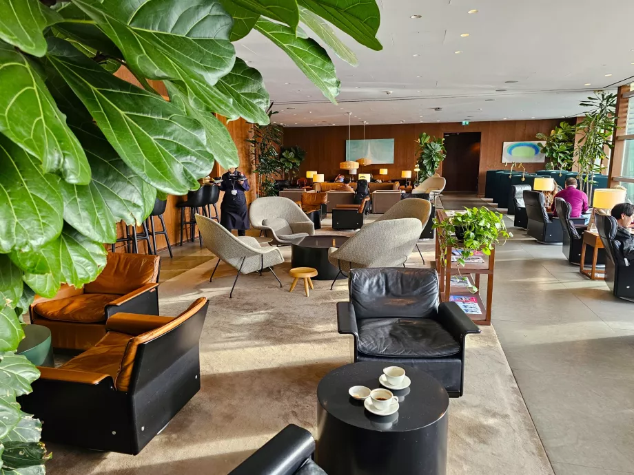 Bendra salono aplinka