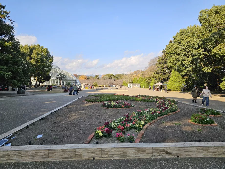 Kioto botanikos sodai