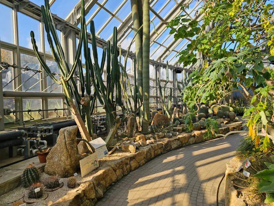 Kioto botanikos sodai