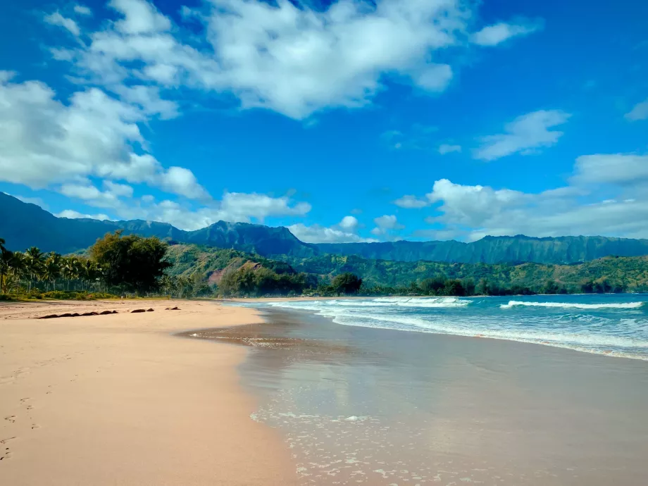 Hanalei įlanka