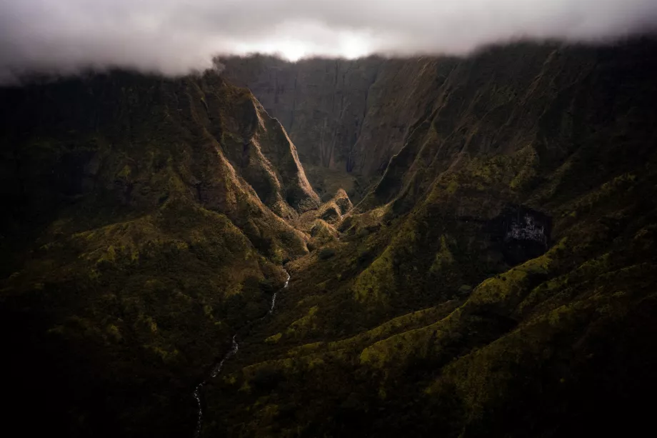 Waialealeale