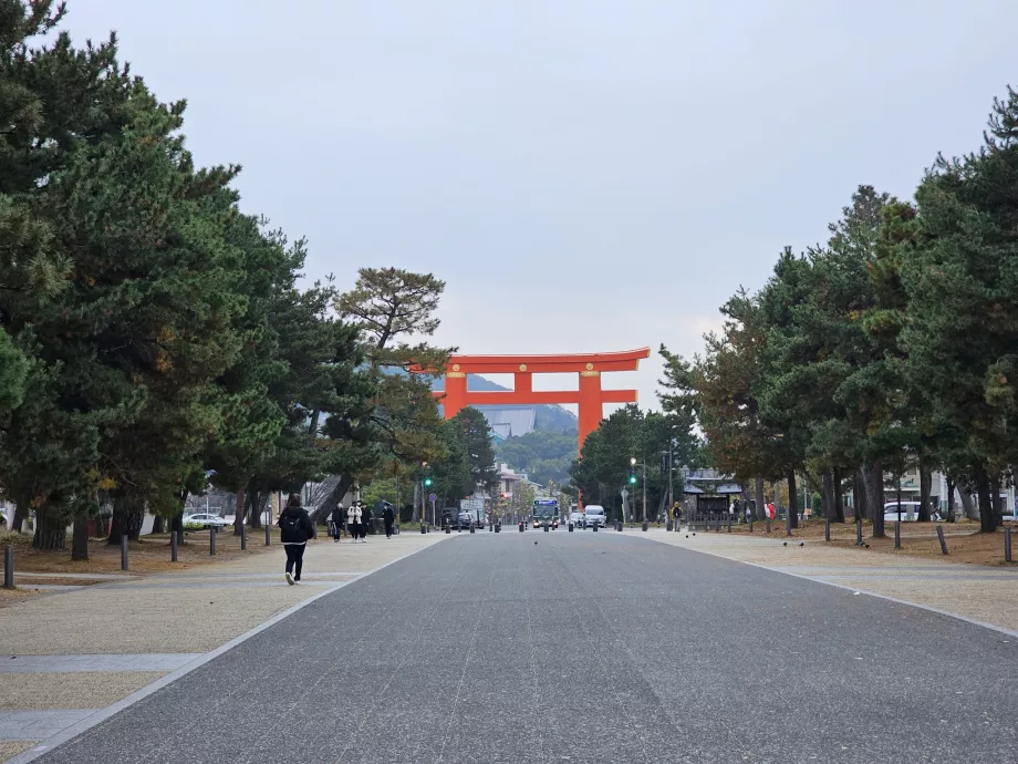 Didelis Torii