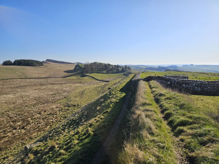 Housesteads romėnų fortas