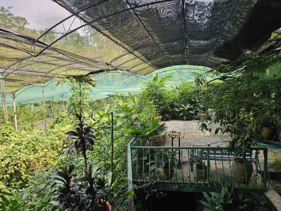 Drugelių parkas