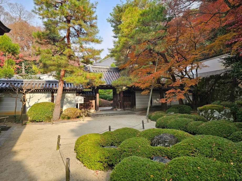 Čion-in šventykla, sodai