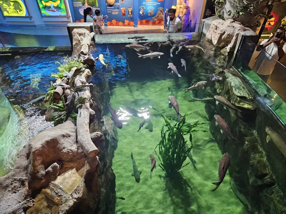 Akvariumas