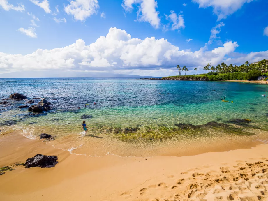 Kapalua įlanka