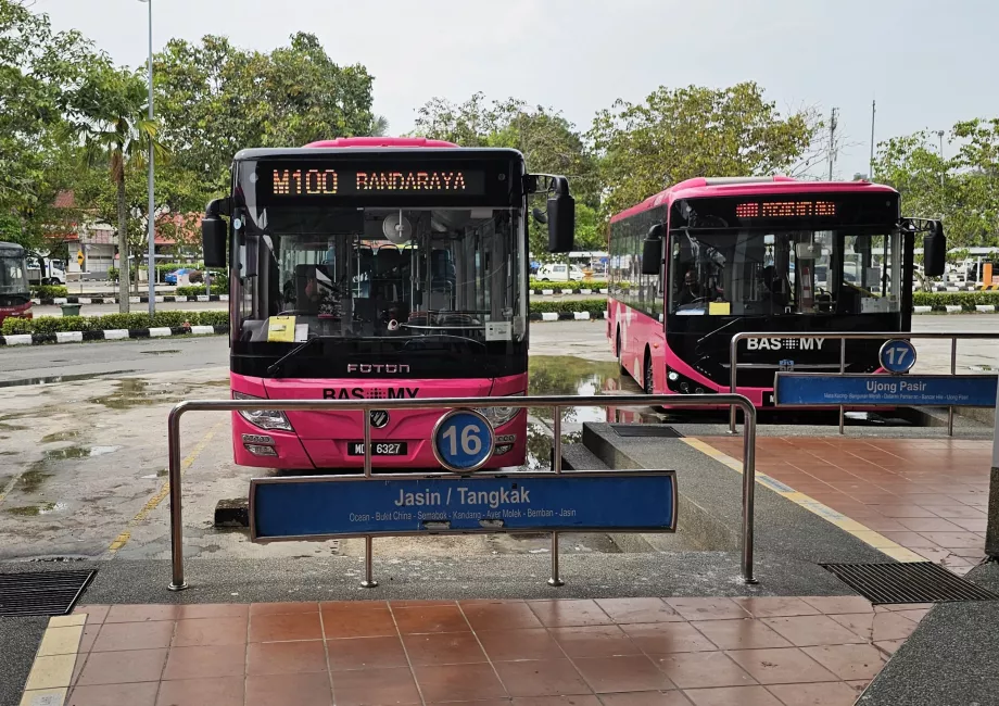 100 autobusas iš autobusų stoties į centrą