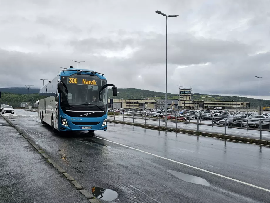 300 autobusas