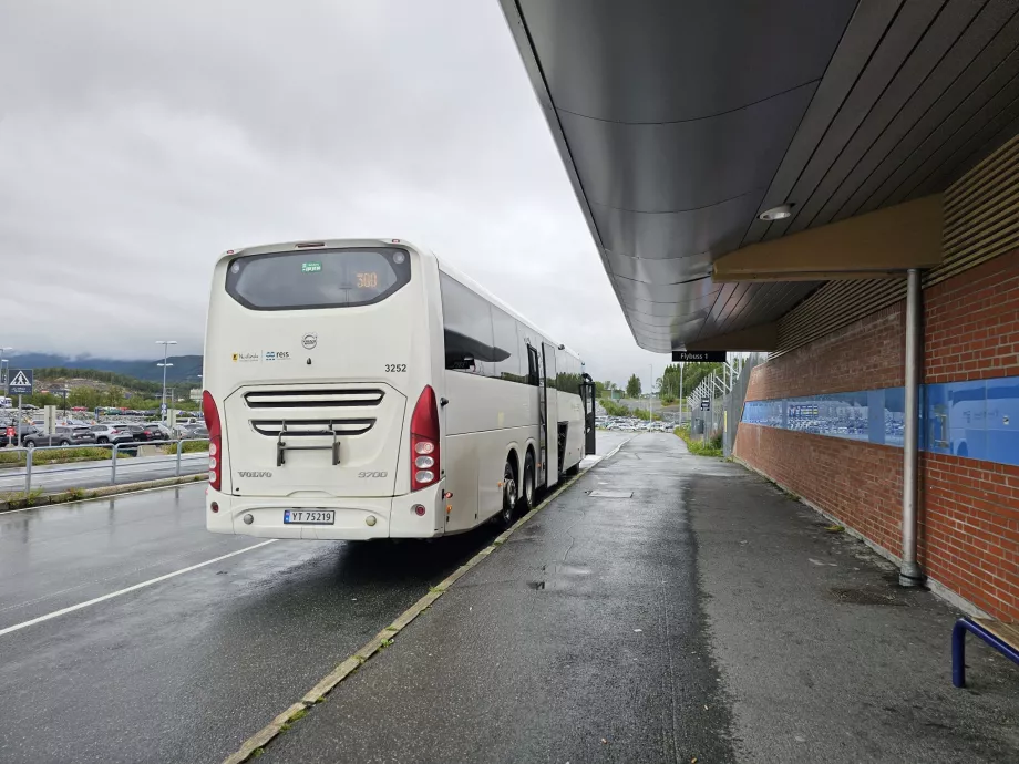 300 autobusų stotelė