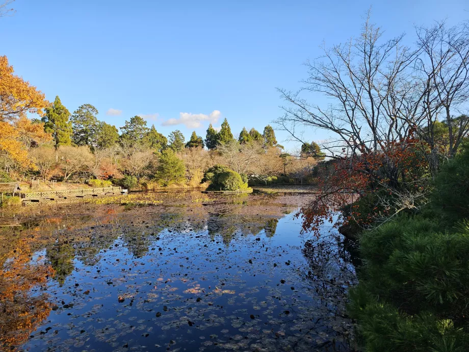 Ryoan-ji šventykla