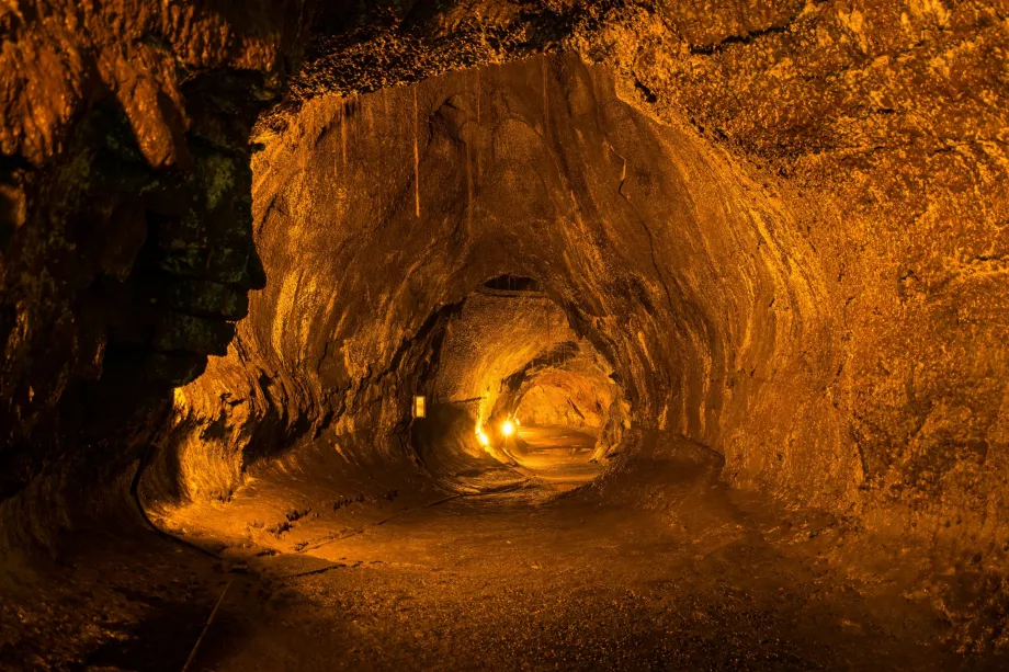 Lavos urvas