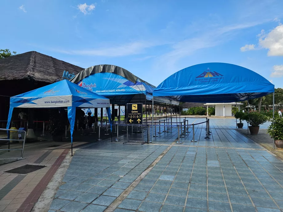 Saugumo patikrinimas