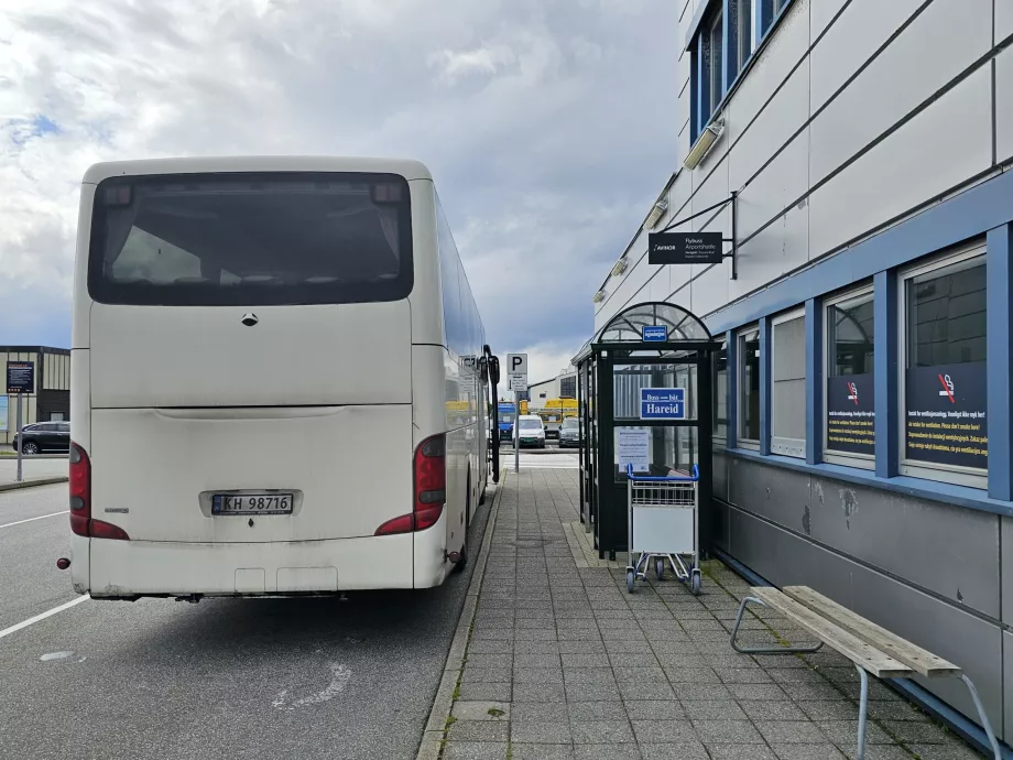 Autobusas Turvogna