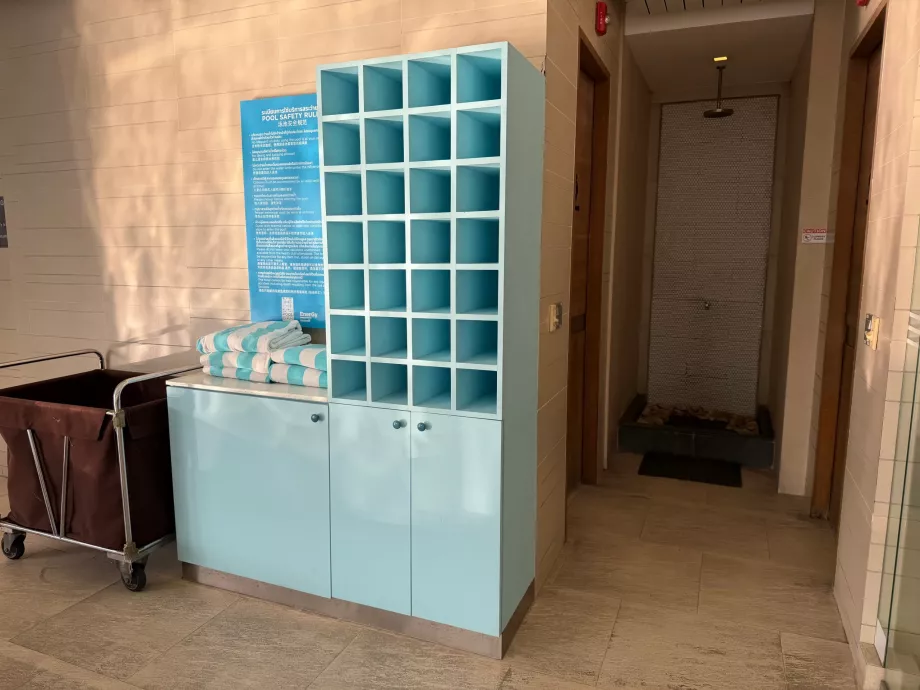 Rankšluosčiai prie baseino