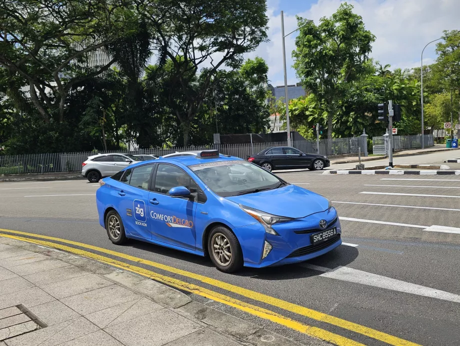 Oficiali "Zig" programėlė