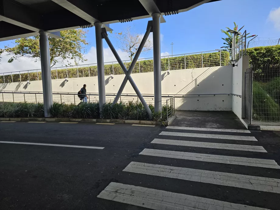 Kelias į autobusų stotelę