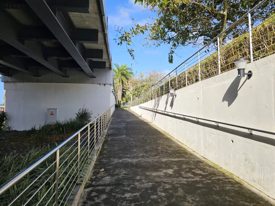 Kelias į autobusų stotelę