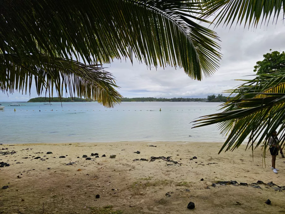 Mėlynoji įlanka
