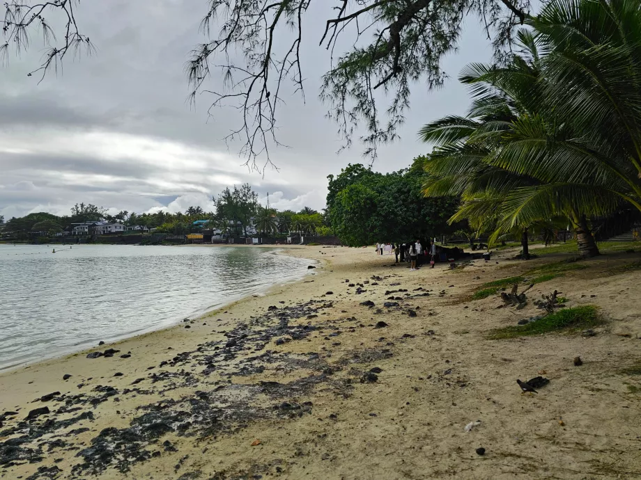 Mėlynoji įlanka