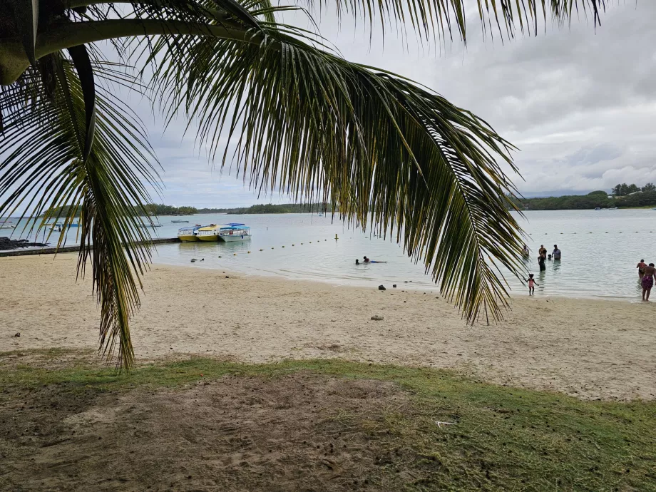 Mėlynoji įlanka