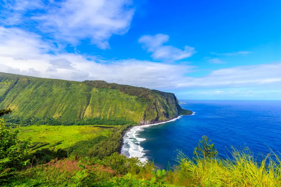 Waipio apžvalgos aikštelė