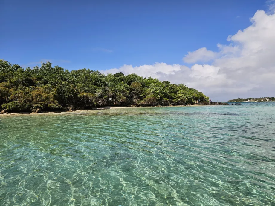 Ile aux Aigrettes