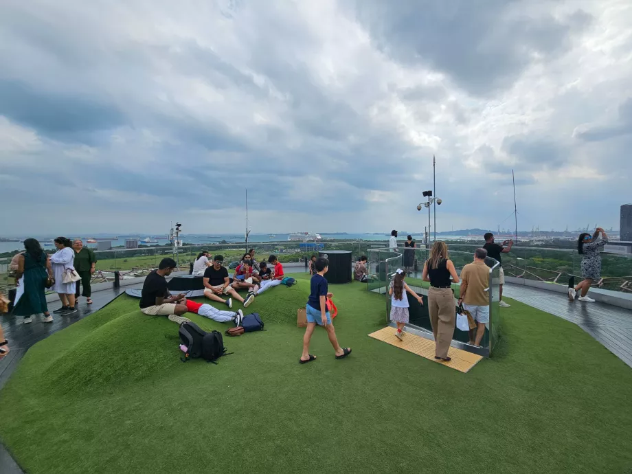 Supertree observatorija