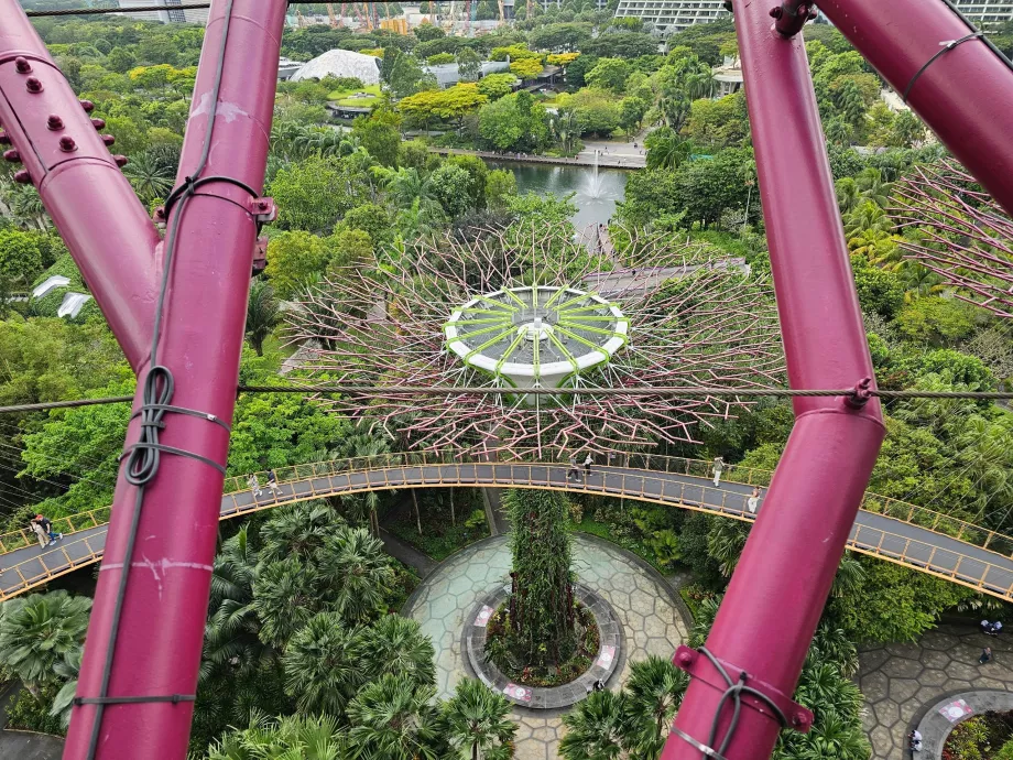 Supertree observatorija