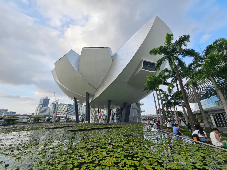 Meno ir mokslo muziejus