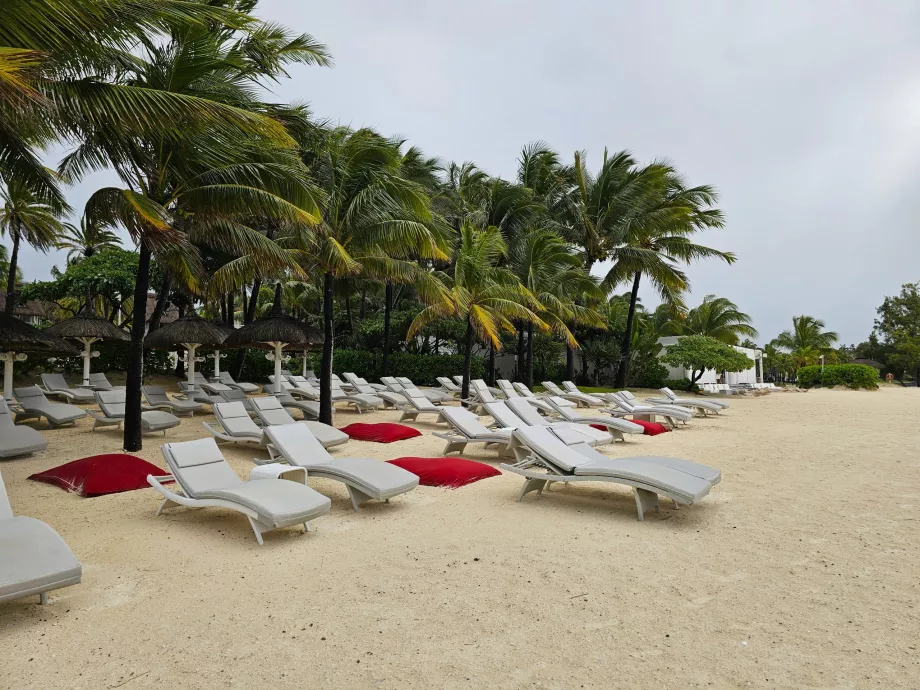 Šezlongai viešbučio "Veranda Palmar" paplūdimyje